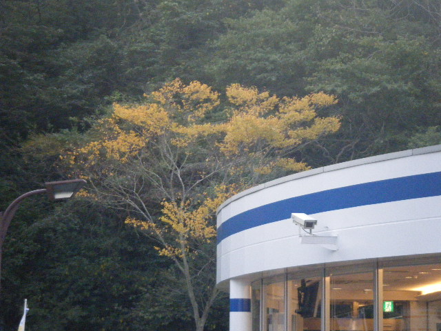 dscf1161.jpg