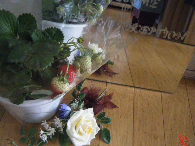 dscf2698.jpg