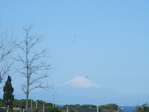 DSCF3088