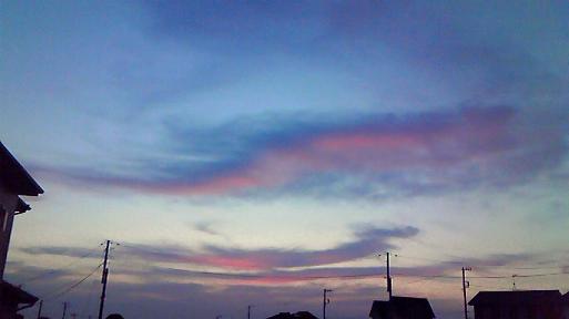 nec_0110.jpg
