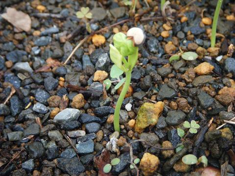 dscf0058.jpg