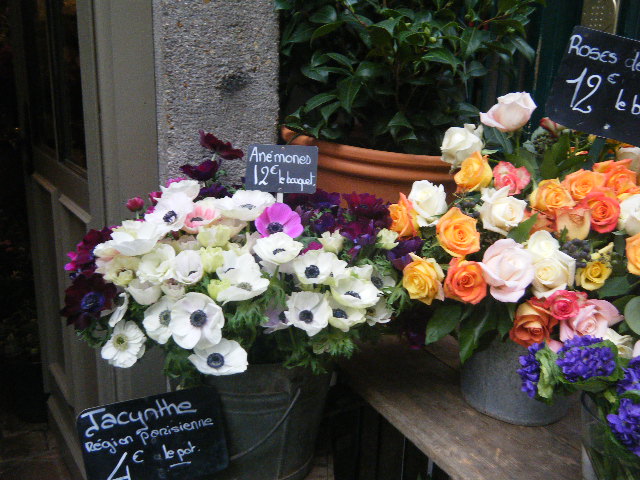 dscf1601.jpg