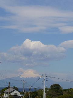 P1010564.jpg