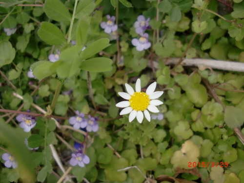 CIMG5642