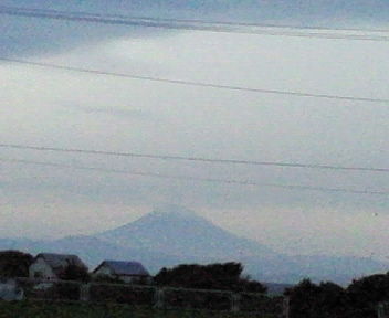 nec_0405.jpg