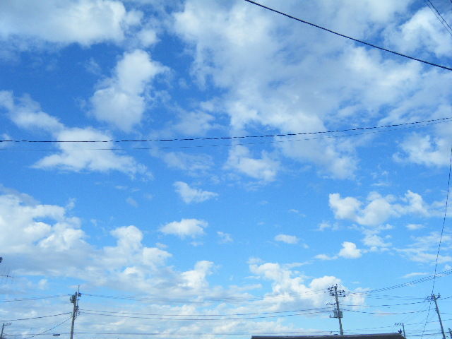 はあとらいふ 綺麗な空とバラの花