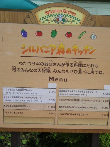 DSCF3794