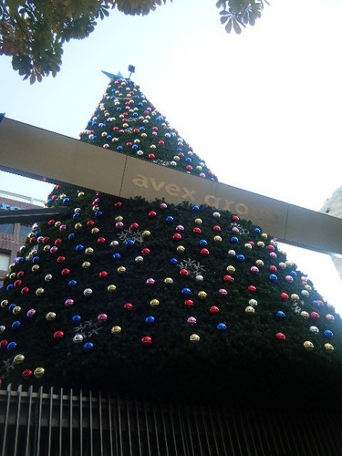DSCF6834