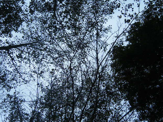 dscf1088.jpg