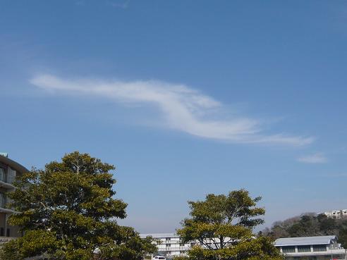 p1010953.jpg