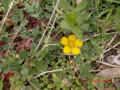 CIMG5641