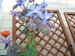 P1010690.jpg