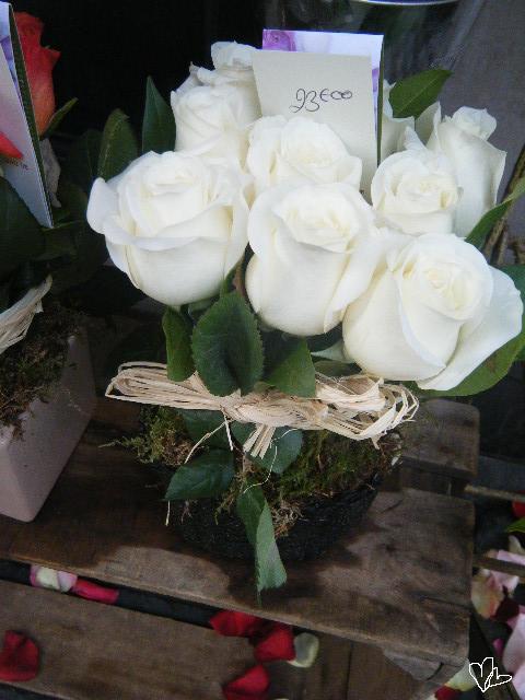dscf1592.jpg