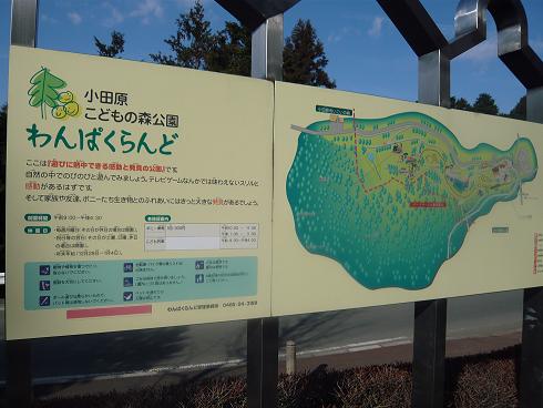 p1010770.jpg