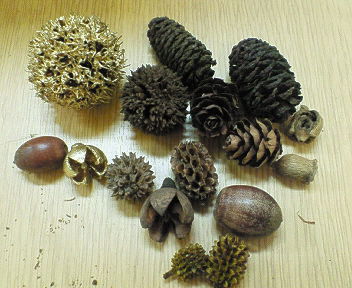 nec_0391.jpg