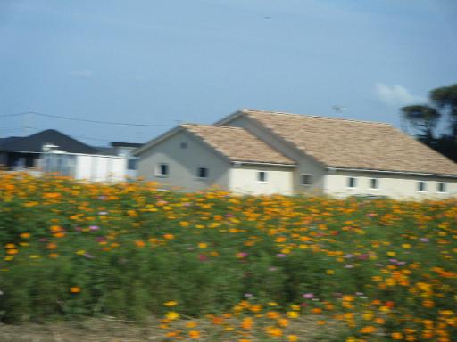 dscf0830.jpg