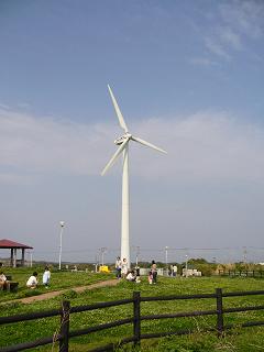 P1010706.jpg