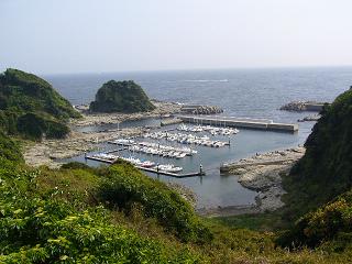 P1010708.jpg