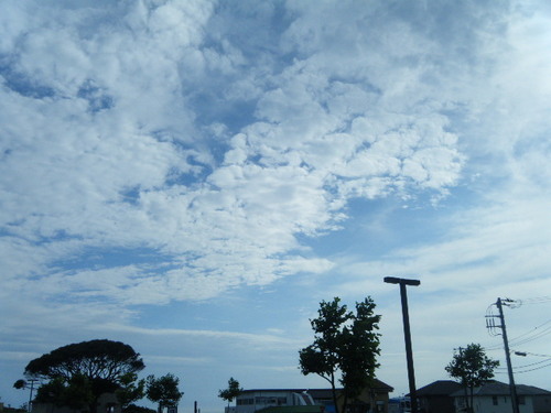 DSCF3582