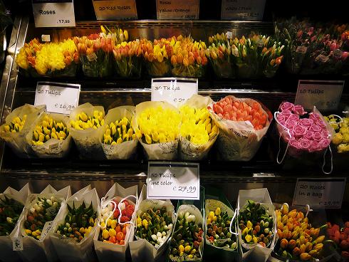 img20090227_8.jpg