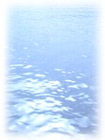 img20050704.jpg