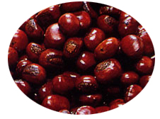 amaguritenshin180.jpg