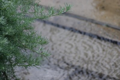 895.jpg