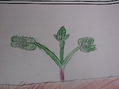 img20070601.jpg