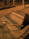 park2-3.jpg
