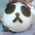 040118panda.jpg