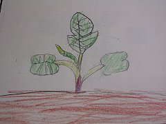 img20070601_1.jpg