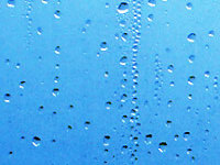 img20050331.jpg