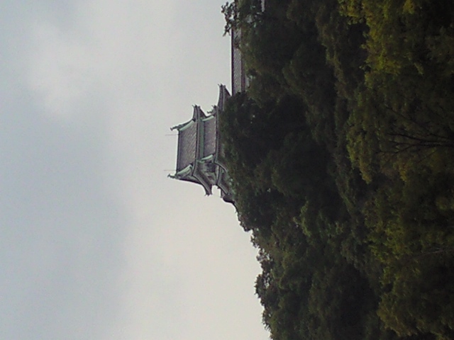 CA3A0004.jpg