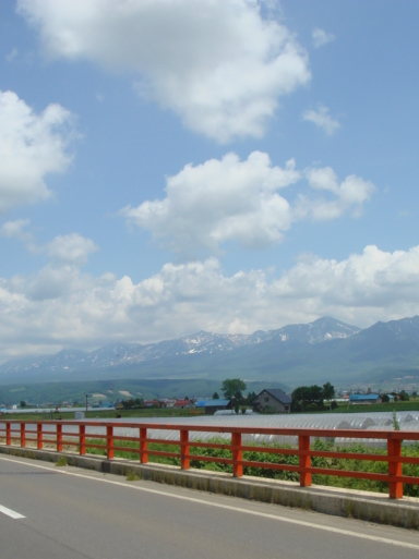 dsc01573.jpg