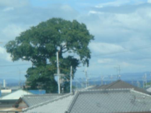 dsc03005.jpg