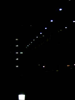 img20071111.jpg