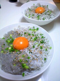 img20090415_1.jpg