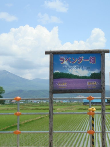 dsc01583.jpg