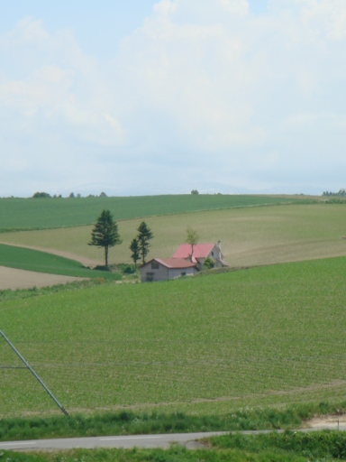 dsc01533.jpg