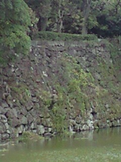 img20080905.jpg