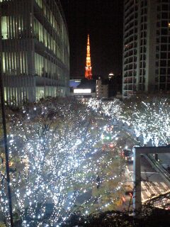 img20081229.jpg