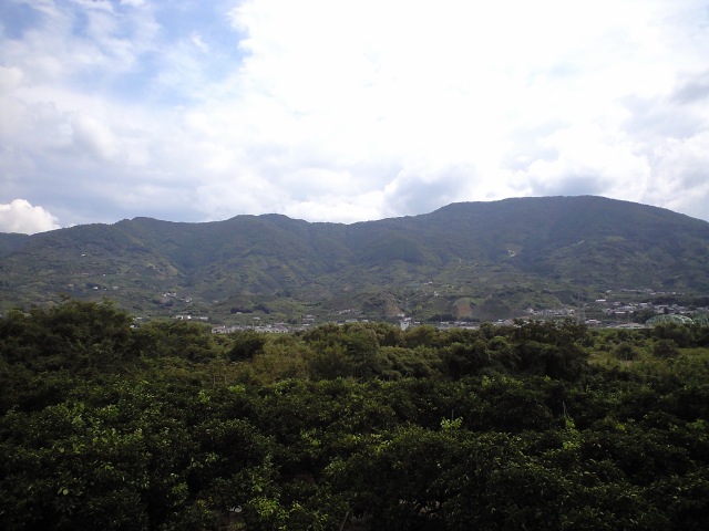 CA3A0001.jpg