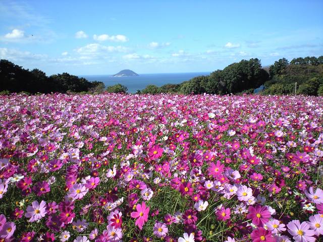 img20081028_1.jpg