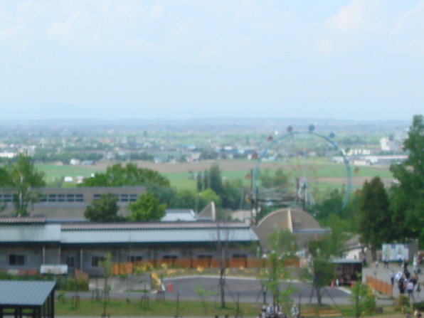 dsc01438.jpg