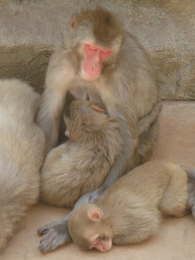 dsc01458.jpg