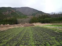 img20091123_2.jpg