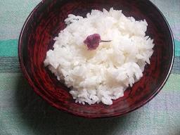 img20080216_2.jpg