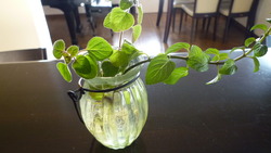 P1000991