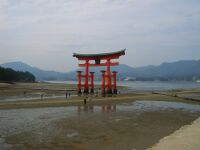 10-4-miyajima4.jpg