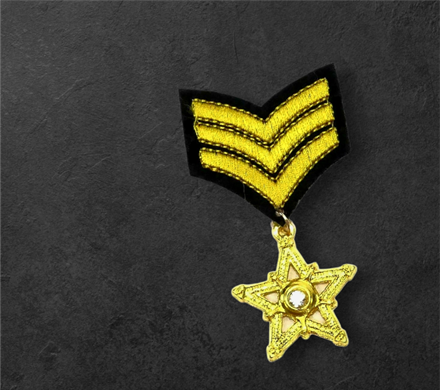 71CeRLhgzBL._AC_UF894,1000_QL80_ (1)